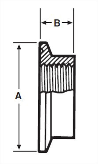 Picture of THERMOMETER CAP CL X FNPT T316L #7
