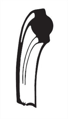 Picture of BUNA-N CLAMP GASKET