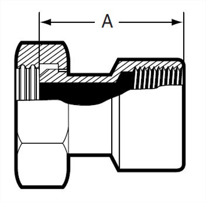 Picture of ADAPTER  14&13H X FEMALE NPT  T316L