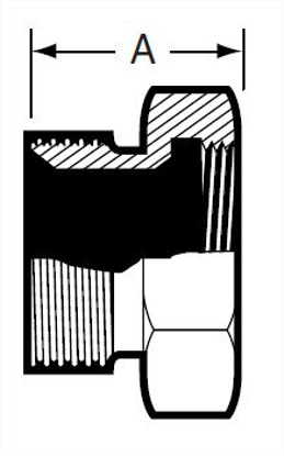 Picture of FEMALE ADAPTER  THREAD X FEMAL E NPT  T316L