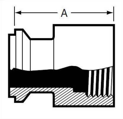Picture of ADAPTER  E14WI TO FNPT  T304