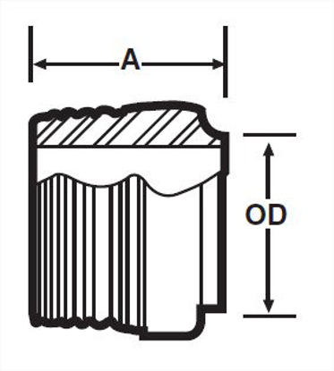 Picture of ADAPTER MALE NPT / WELD T304 4  OAL - TUMBLE FINISH