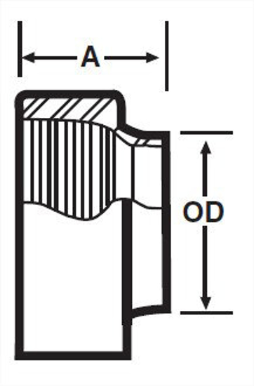 Picture of ADAPTER FEMALE NPT/WELD, T316L