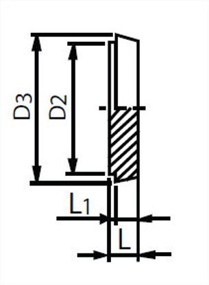 Picture of DIN LINER BLANK CAP T316