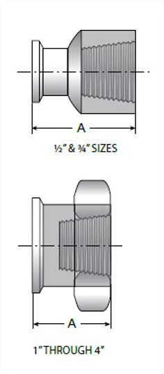 TEG22 - Clamp X Female NPT Adapter 6MO UNS N08367